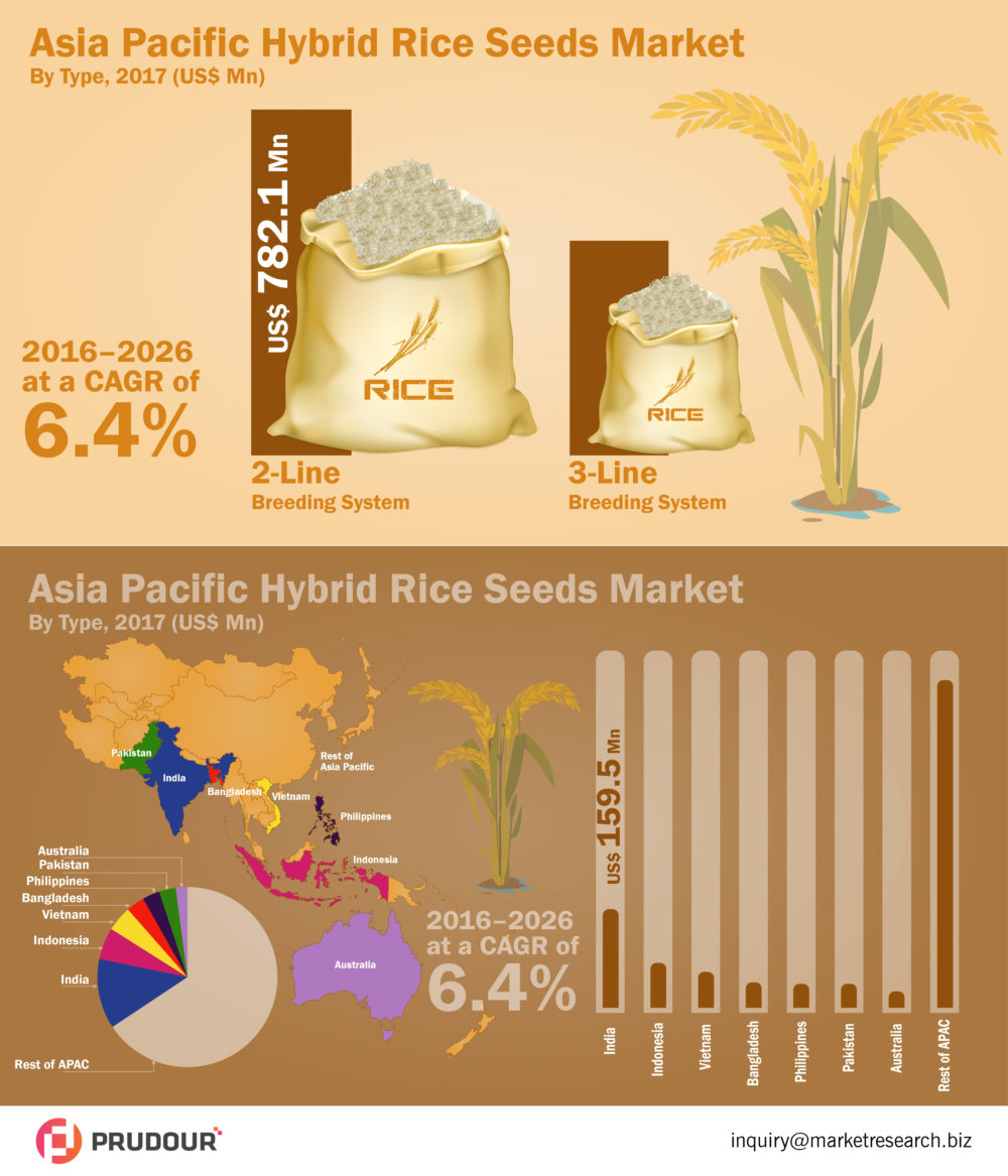 CAGR Of 6.4: Global Hybrid Rice Seeds Market about to hit CAGR of 6.4 from 2017 to 2026