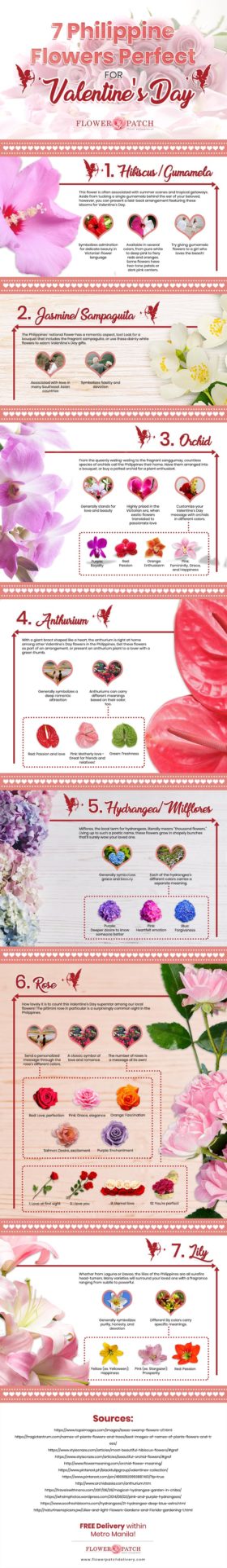 Romance in the Philippines: 7 Local Flowers Perfect for Valentine’s Day